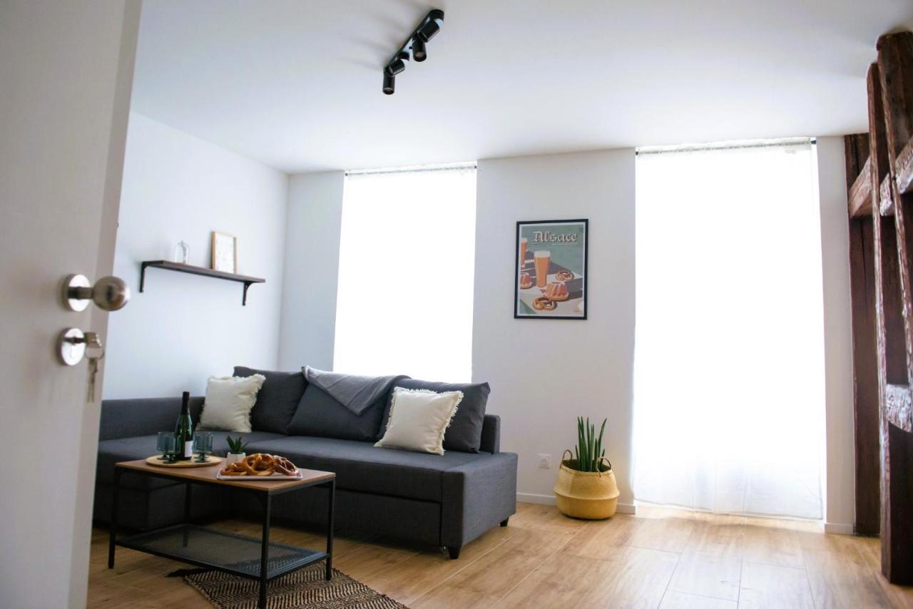 La Pomme Du President I Apartment Selestat Bagian luar foto